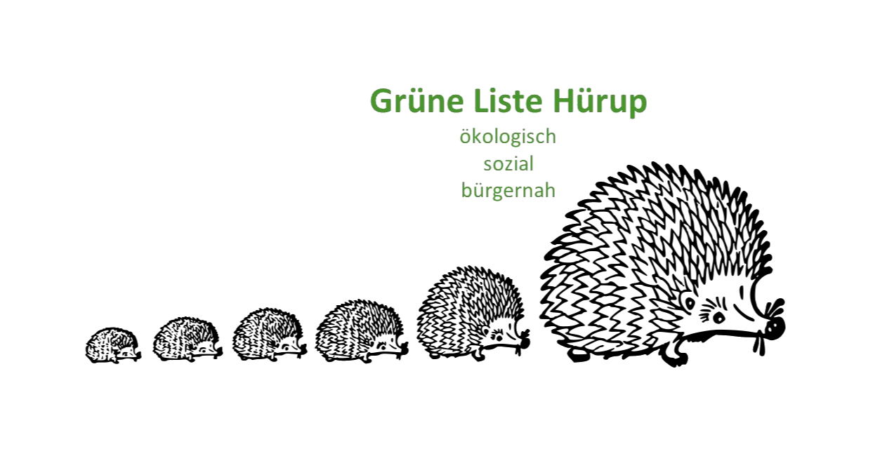 Kommunalwahl 1990 in Maasbüll